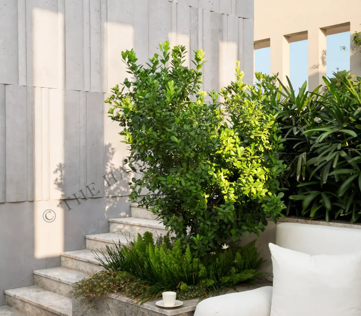 W-ID-Res-IVY TERRACE-3-062